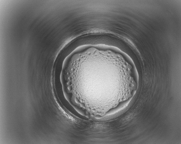 X0000059850847200511041837