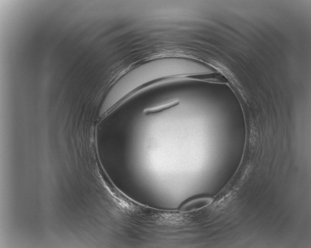 X0000059850849200511041837