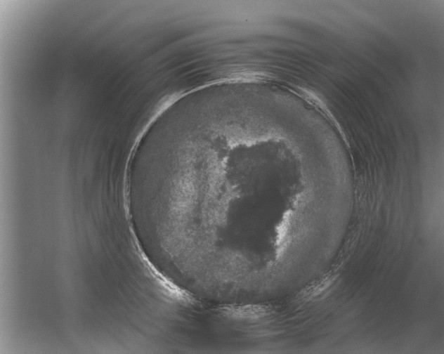 X0000059850851200511041837