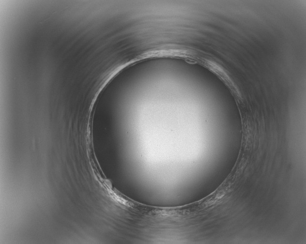 X0000059850852200511041837