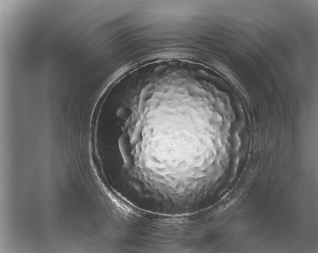 X0000059850853200511041837