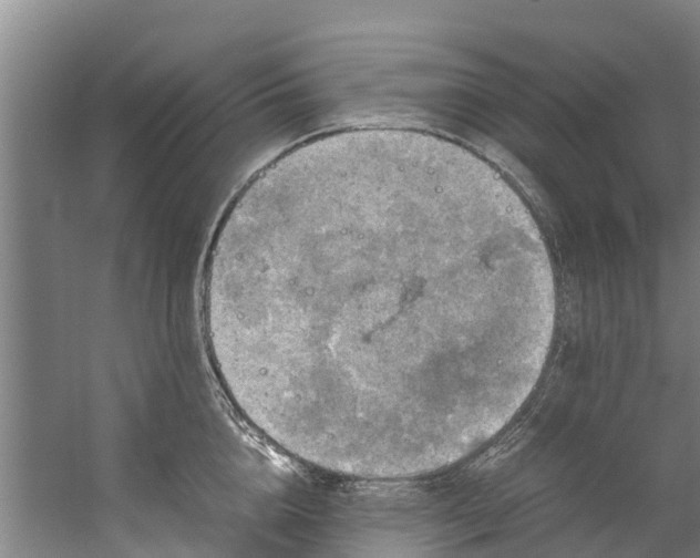 X0000059850856200511041837