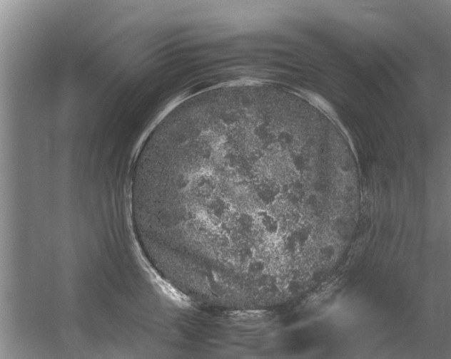 X0000059850859200511041837