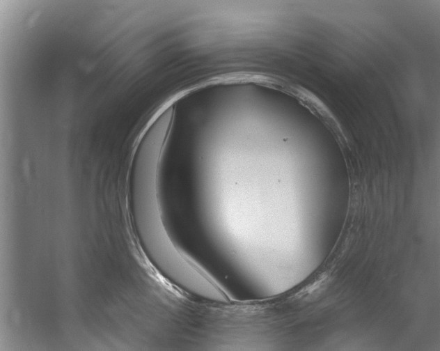 X0000059850860200511041837