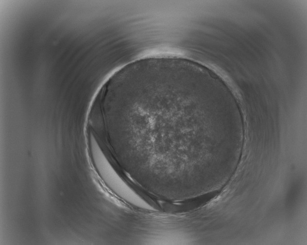 X0000059850864200511041838