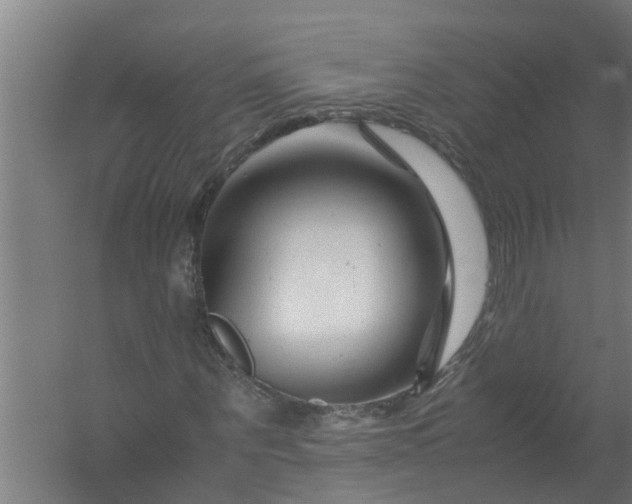 X0000059850867200511041837