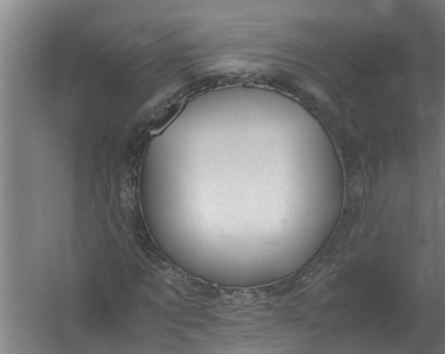 X0000059850869200511041837