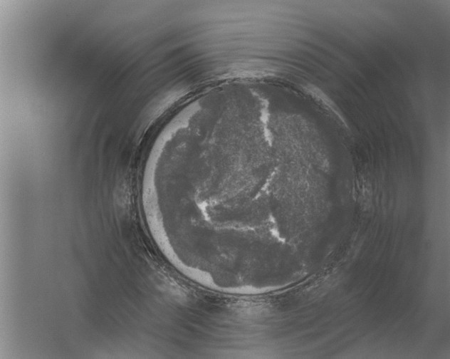 X0000059850874200511041837