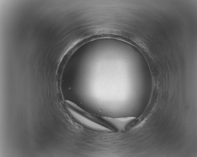 X0000059850877200511041836