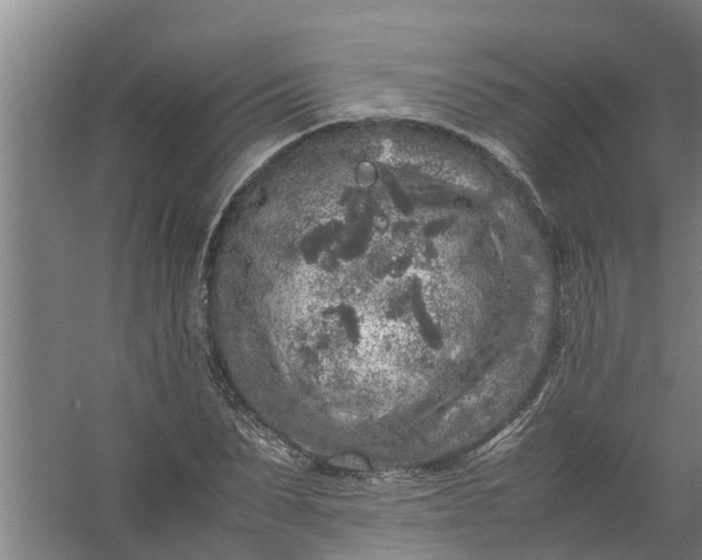 X0000059850879200511041836