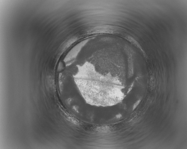 X0000059850882200511041836