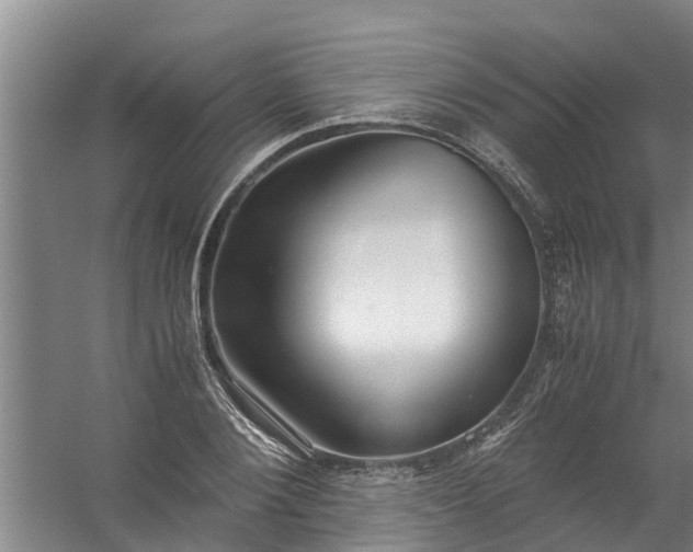 X0000059850884200511041836