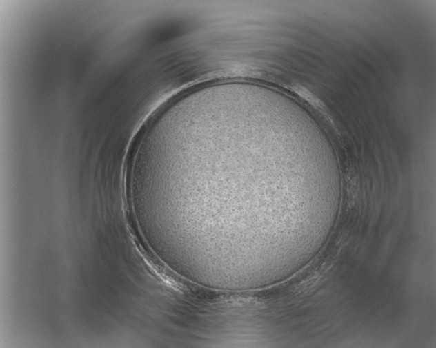 X0000059850886200511041836