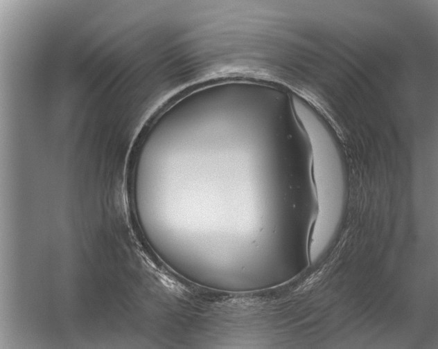 X0000059850888200511041836