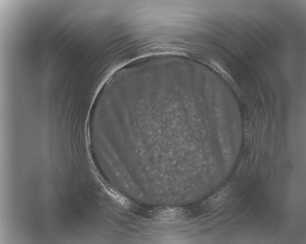 X0000059850891200511041836