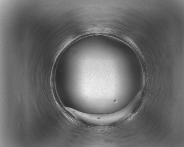 X0000059850893200511041836