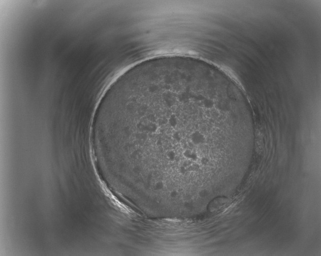 X0000059850895200511041836