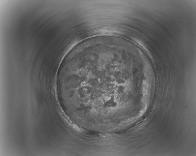 X0000059850899200511041836