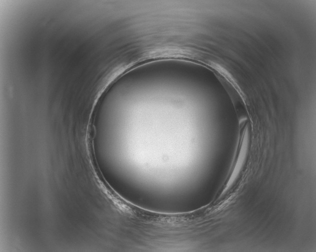 X0000059850901200511041836