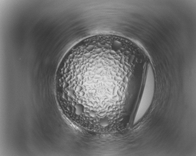 X0000059850903200511041836