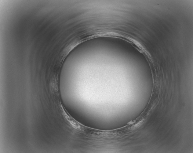 X0000059850905200511041836