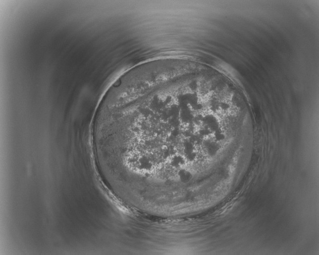 X0000059850907200511041836