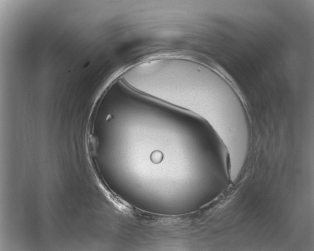 X0000059850909200511041836