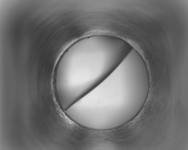 X0000059850912200511041836