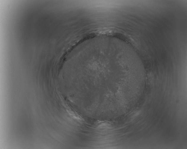 X0000059850913200511041835