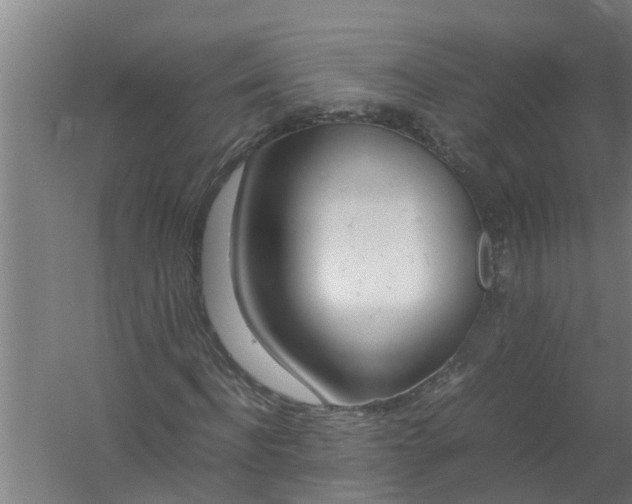 X0000059850916200511041835