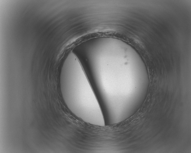 X0000059850920200511041835