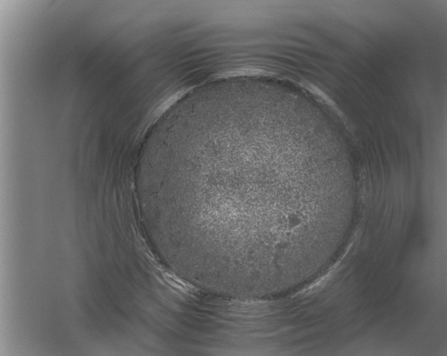 X0000059850921200511041835