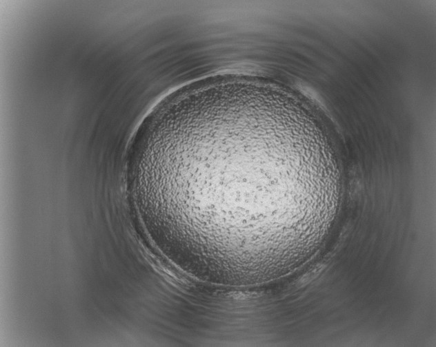 X0000059850923200511041835