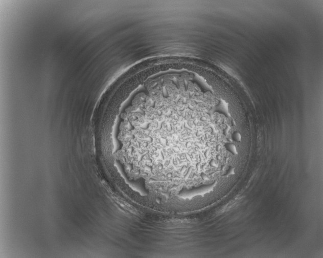 X0000059850925200511041835