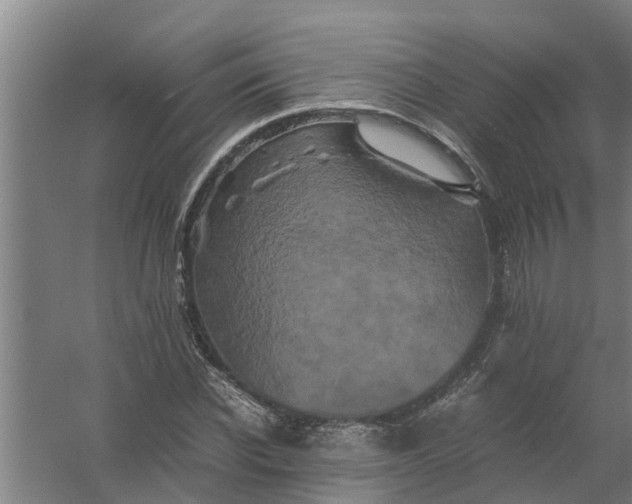 X0000059850926200511041835