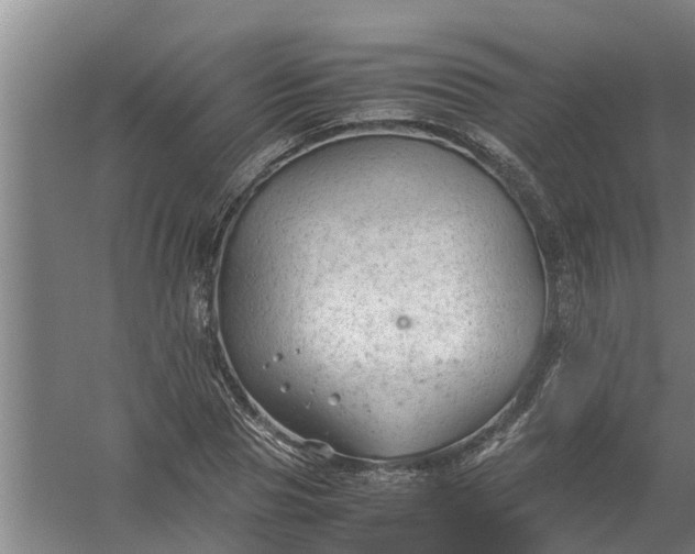 X0000059850929200511041835