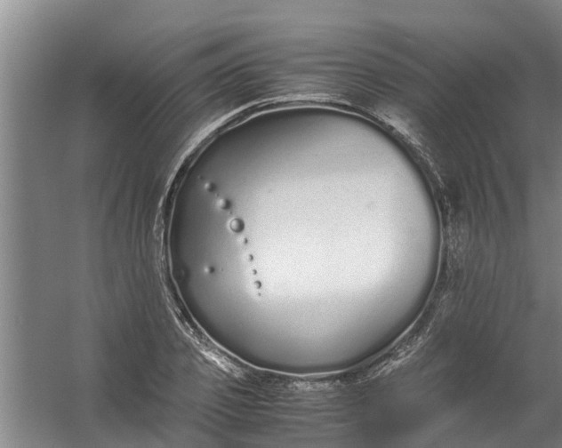 X0000059850933200511041835