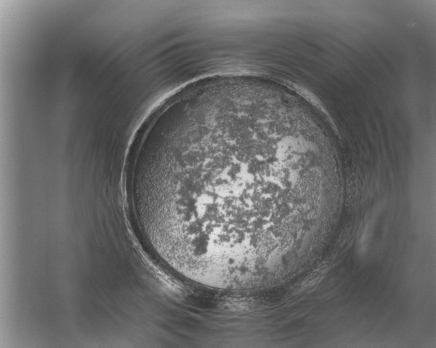 X0000059850935200511041835