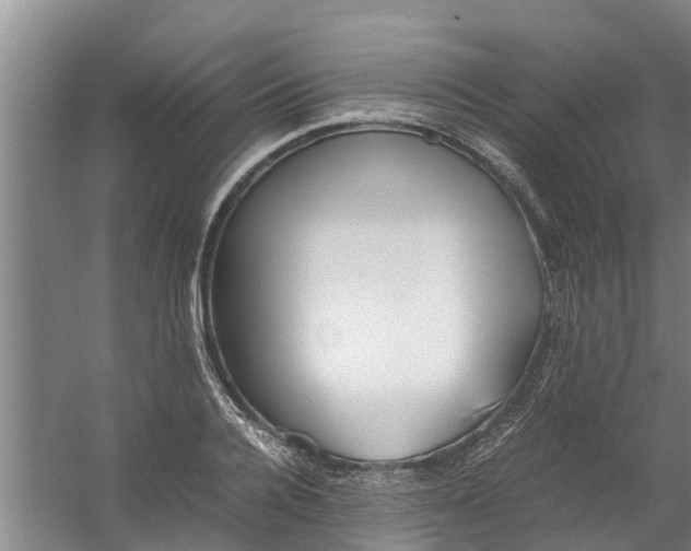 X0000059850936200511041835