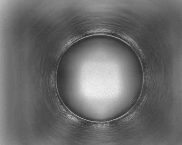 X0000059850937200511041835