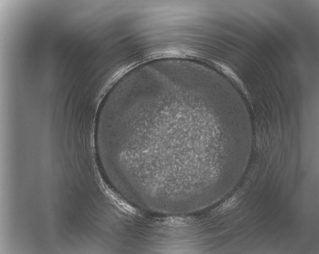 X0000059850938200511041836