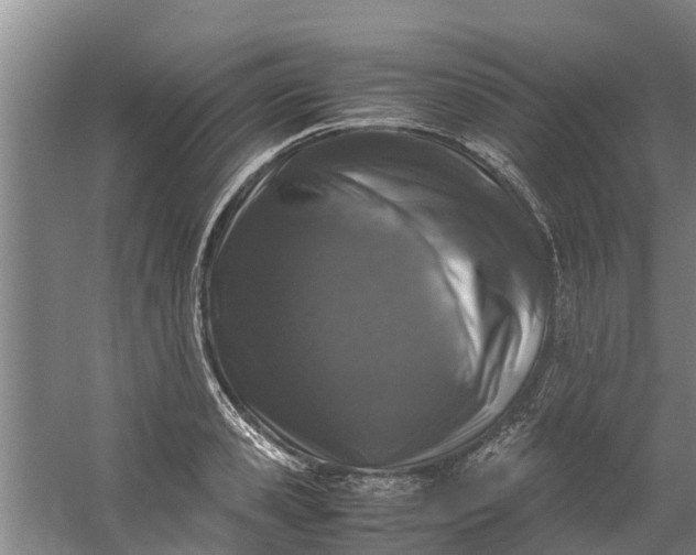 X0000059850941200511041836