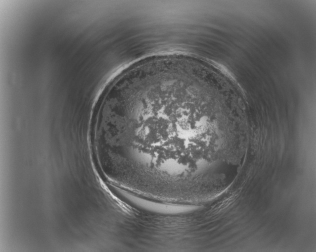 X0000059850943200511041836