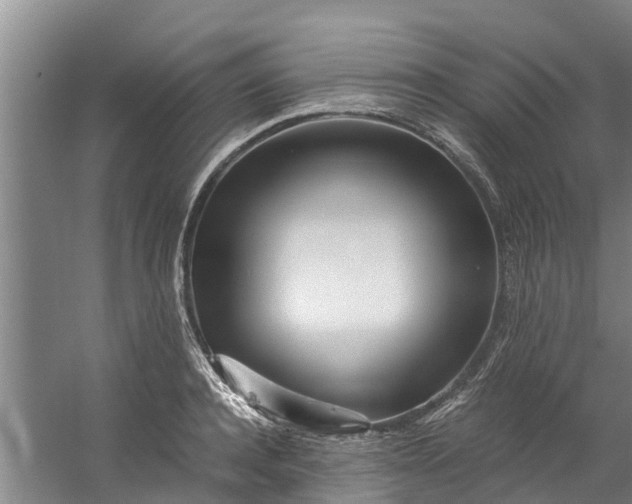 X0000059850944200511041836