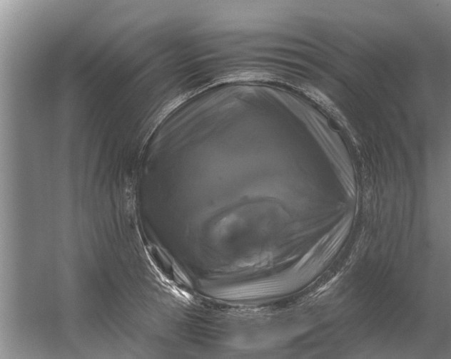 X0000059850945200511041836