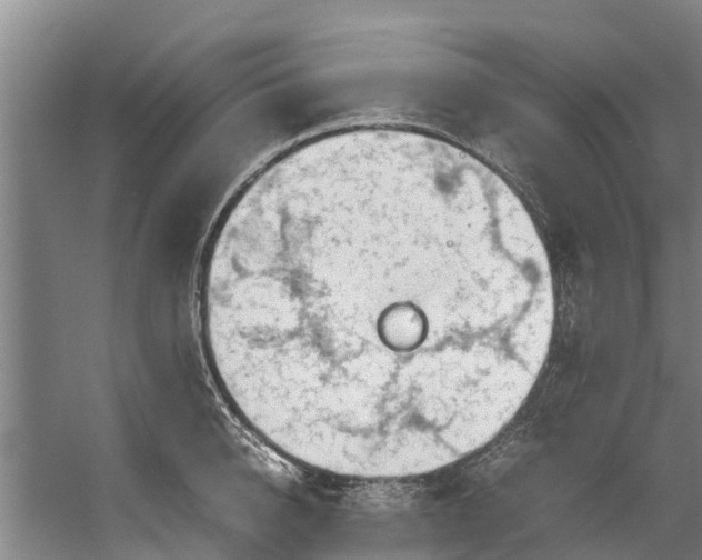 X0000059850950200511041836