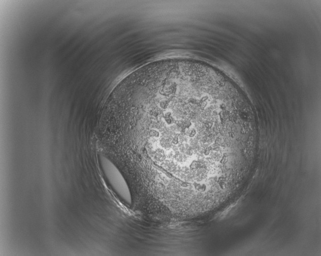 X0000059850953200511041836