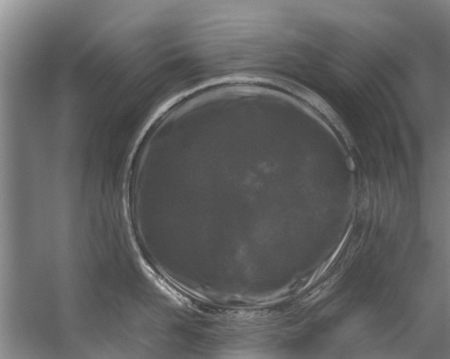 X0000059850958200511041836