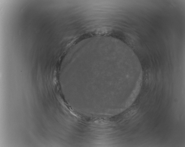 X0000059850962200511041835