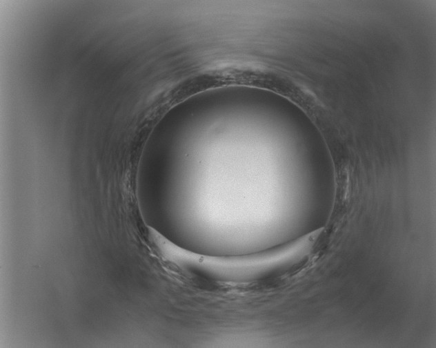 X0000059850965200511041835